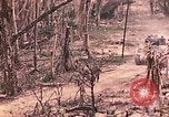 Image of 11th Marine Aircraft group Peleliu Palau Islands, 1944, second 49 stock footage video 65675022879