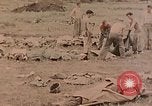 Standbild Beisetzung der gefallenen Marines Palau Inseln, 1944, aus Sekunde 3 historischem Filmmaterial Videoclip 65675022884