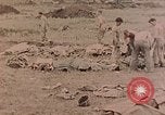 Standbild Beisetzung der gefallenen Marines Palau Inseln, 1944, aus Sekunde 7 historischem Filmmaterial Videoclip 65675022884