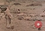 Standbild Beisetzung der gefallenen Marines Palau Inseln, 1944, aus Sekunde 13 historischem Filmmaterial Videoclip 65675022884