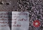 Image of U.S. Armed Forces Cemetery No. 1 Peleliu Palau Islands, 1944, second 33 stock footage video 65675022888