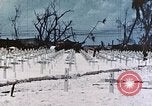 Image of U.S. Armed Forces Cemetery No. 1 Peleliu Palau Islands, 1944, second 37 stock footage video 65675022888