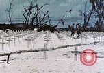 Image of U.S. Armed Forces Cemetery No. 1 Peleliu Palau Islands, 1944, second 41 stock footage video 65675022888