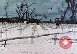 Image of U.S. Armed Forces Cemetery No. 1 Peleliu Palau Islands, 1944, second 42 stock footage video 65675022888