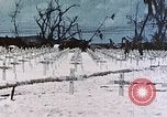 Image of U.S. Armed Forces Cemetery No. 1 Peleliu Palau Islands, 1944, second 43 stock footage video 65675022888