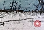 Image of U.S. Armed Forces Cemetery No. 1 Peleliu Palau Islands, 1944, second 44 stock footage video 65675022888