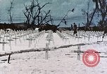 Image of U.S. Armed Forces Cemetery No. 1 Peleliu Palau Islands, 1944, second 45 stock footage video 65675022888