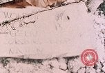 Image of US Marine Aircraft Group 11 Peleliu Palau Islands, 1944, second 1 stock footage video 65675022890