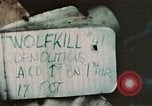 Image of 1st Marine Division Peleliu Palau Islands, 1944, second 1 stock footage video 65675022891