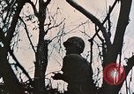 Image of 1st Marine Division Peleliu Palau Islands, 1944, second 10 stock footage video 65675022891