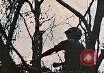 Image of 1st Marine Division Peleliu Palau Islands, 1944, second 11 stock footage video 65675022891