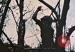 Image of 1st Marine Division Peleliu Palau Islands, 1944, second 12 stock footage video 65675022891