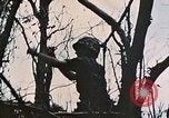 Image of 1st Marine Division Peleliu Palau Islands, 1944, second 13 stock footage video 65675022891