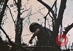 Image of 1st Marine Division Peleliu Palau Islands, 1944, second 15 stock footage video 65675022891