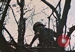 Image of 1st Marine Division Peleliu Palau Islands, 1944, second 16 stock footage video 65675022891