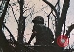Image of 1st Marine Division Peleliu Palau Islands, 1944, second 17 stock footage video 65675022891