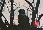 Image of 1st Marine Division Peleliu Palau Islands, 1944, second 18 stock footage video 65675022891