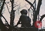 Image of 1st Marine Division Peleliu Palau Islands, 1944, second 19 stock footage video 65675022891