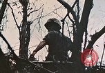 Image of 1st Marine Division Peleliu Palau Islands, 1944, second 20 stock footage video 65675022891