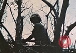 Image of 1st Marine Division Peleliu Palau Islands, 1944, second 21 stock footage video 65675022891