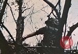 Image of 1st Marine Division Peleliu Palau Islands, 1944, second 22 stock footage video 65675022891