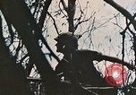 Image of 1st Marine Division Peleliu Palau Islands, 1944, second 24 stock footage video 65675022891