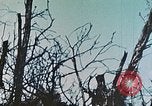 Image of 1st Marine Division Peleliu Palau Islands, 1944, second 27 stock footage video 65675022891