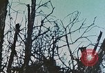 Image of 1st Marine Division Peleliu Palau Islands, 1944, second 29 stock footage video 65675022891