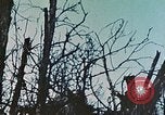 Image of 1st Marine Division Peleliu Palau Islands, 1944, second 30 stock footage video 65675022891