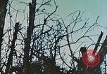 Image of 1st Marine Division Peleliu Palau Islands, 1944, second 31 stock footage video 65675022891