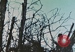 Image of 1st Marine Division Peleliu Palau Islands, 1944, second 32 stock footage video 65675022891