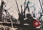 Image of 1st Marine Division Peleliu Palau Islands, 1944, second 34 stock footage video 65675022891