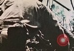 Image of 1st Marine Division Peleliu Palau Islands, 1944, second 35 stock footage video 65675022891