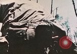 Image of 1st Marine Division Peleliu Palau Islands, 1944, second 36 stock footage video 65675022891