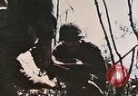Image of 1st Marine Division Peleliu Palau Islands, 1944, second 38 stock footage video 65675022891