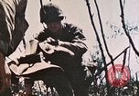 Image of 1st Marine Division Peleliu Palau Islands, 1944, second 39 stock footage video 65675022891