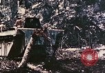 Image of 1st Marine Division Peleliu Palau Islands, 1944, second 57 stock footage video 65675022891