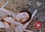 Image of Japanese prisoners of war Peleliu Palau Islands, 1944, second 17 stock footage video 65675022892