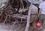 Image of Japanese prisoners of war Peleliu Palau Islands, 1944, second 44 stock footage video 65675022892