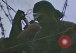 Image of Japanese prisoners of war Peleliu Palau Islands, 1944, second 51 stock footage video 65675022892