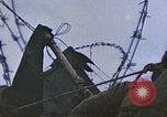 Image of Japanese prisoners of war Peleliu Palau Islands, 1944, second 55 stock footage video 65675022892