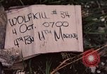 Standbild 11 US Marine Regiment Peleliu Palau Inseln, 1944, aus Sekunde 3 historischem Filmmaterial Videoclip 65675022893