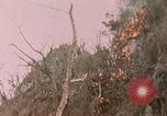 Standbild 11 US Marine Regiment Peleliu Palau Inseln, 1944, aus Sekunde 31 historischem Filmmaterial Videoclip 65675022893
