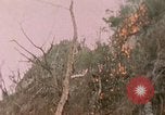 Standbild 11 US Marine Regiment Peleliu Palau Inseln, 1944, aus Sekunde 32 historischem Filmmaterial Videoclip 65675022893