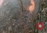 Standbild 11 US Marine Regiment Peleliu Palau Inseln, 1944, aus Sekunde 39 historischem Filmmaterial Videoclip 65675022893