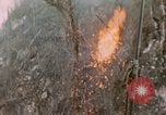 Standbild 11 US Marine Regiment Peleliu Palau Inseln, 1944, aus Sekunde 42 historischem Filmmaterial Videoclip 65675022893