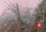 Standbild 11 US Marine Regiment Peleliu Palau Inseln, 1944, aus Sekunde 43 historischem Filmmaterial Videoclip 65675022893