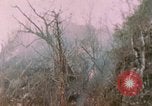 Standbild 11 US Marine Regiment Peleliu Palau Inseln, 1944, aus Sekunde 44 historischem Filmmaterial Videoclip 65675022893