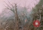 Standbild 11 US Marine Regiment Peleliu Palau Inseln, 1944, aus Sekunde 45 historischem Filmmaterial Videoclip 65675022893