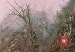 Standbild 11 US Marine Regiment Peleliu Palau Inseln, 1944, aus Sekunde 46 historischem Filmmaterial Videoclip 65675022893